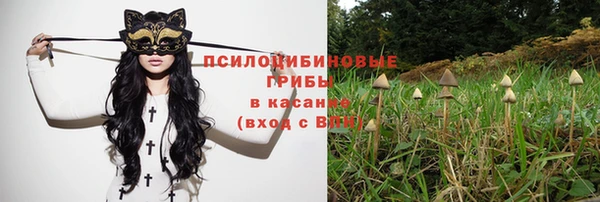 соль курить ск Алзамай