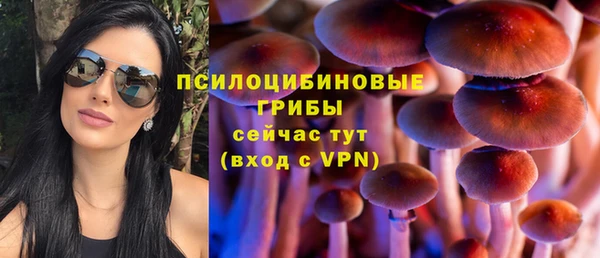 круглые Алексеевка