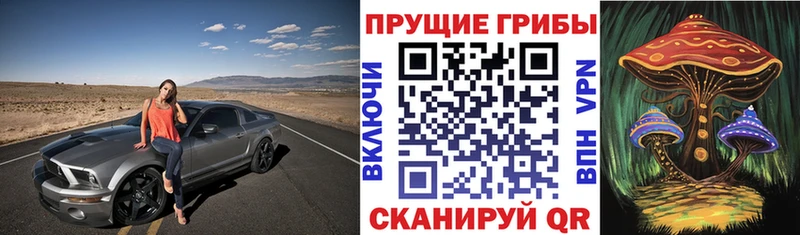 ОМГ ОМГ зеркало  где можно купить наркотик  Южно-Сухокумск  Псилоцибиновые грибы мицелий 